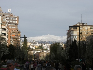 Calle Constitución, Granada